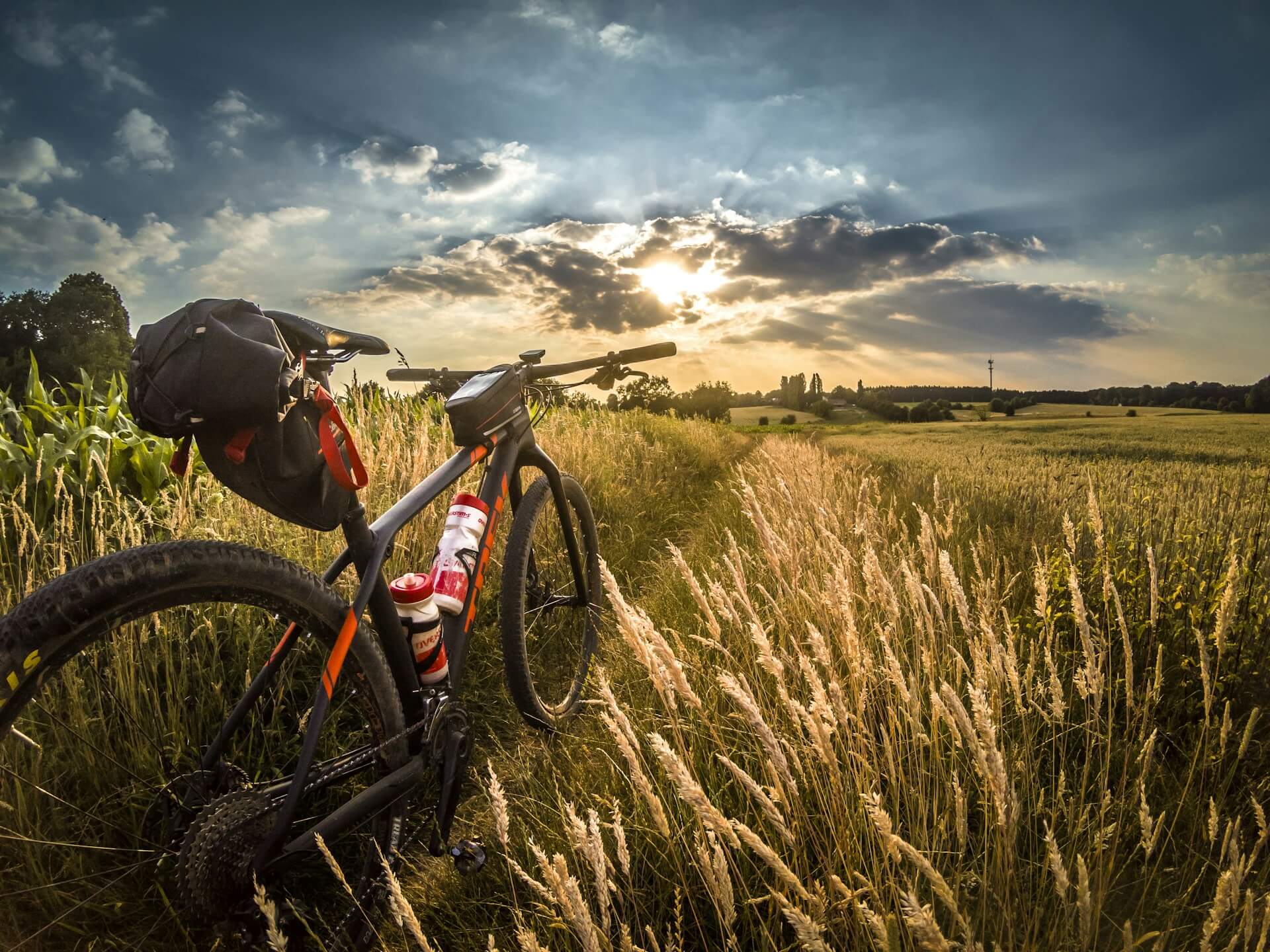 Lee más sobre el artículo Cleaning and Maintenance Tips for Your Mountain Bike Hydration Pack